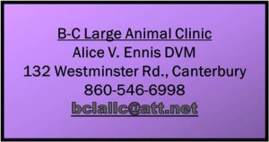 B-C_Large Animal Clinic
